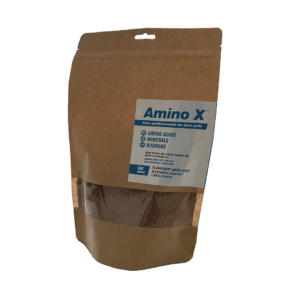 AminoX 500g