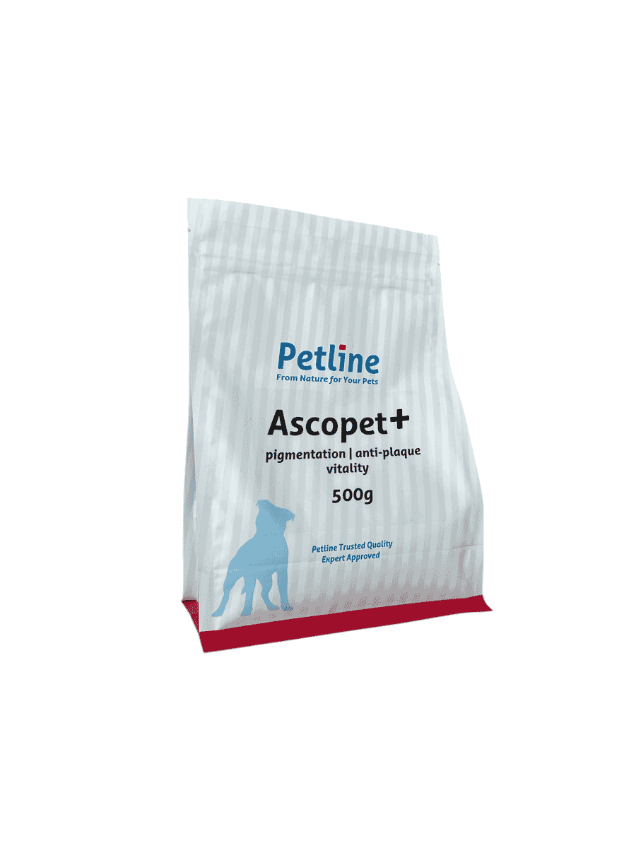Ascopet+_500