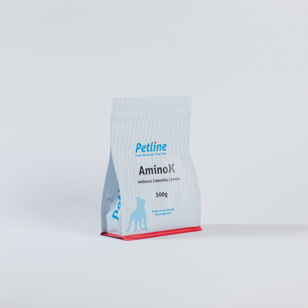 AminoX 500g